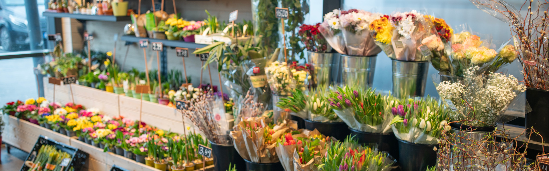 Blumen